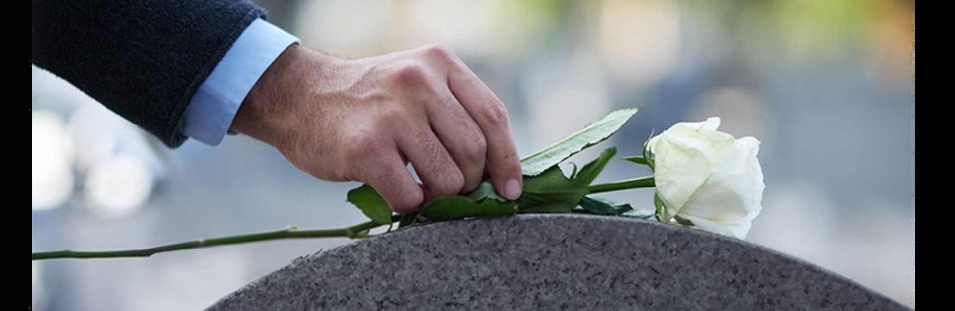 Transportare sicriu alb cu crini albi.